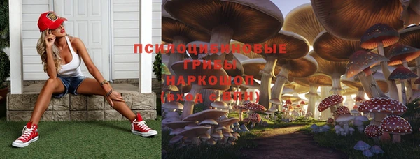 мет Армянск