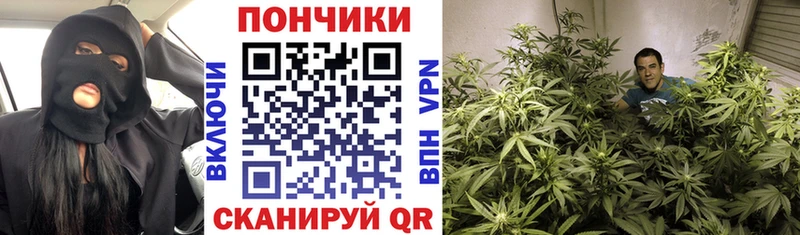 Бошки марихуана Ganja  Рузаевка 